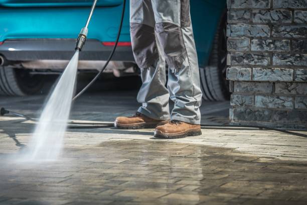 Best Fleet Vehicle Washing  in Williamson, WV