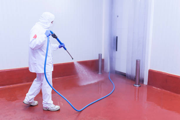 Best Warehouse Cleaning  in Williamson, WV