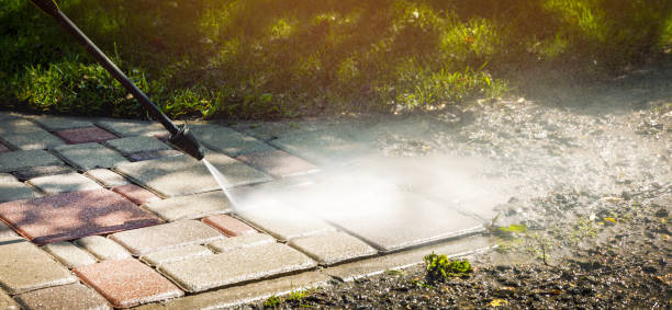 Best House Exterior Washing  in Williamson, WV